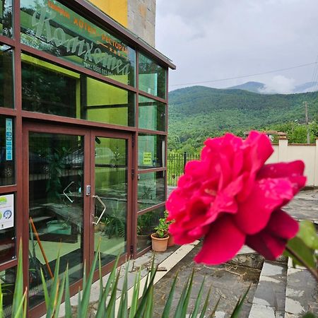 Family Hotel Komhotel Berkovitsa Exterior foto